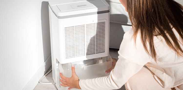 Woman changing dehumidifier container